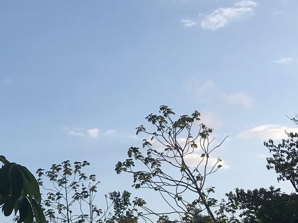 Costa Rica - San Carlos - 