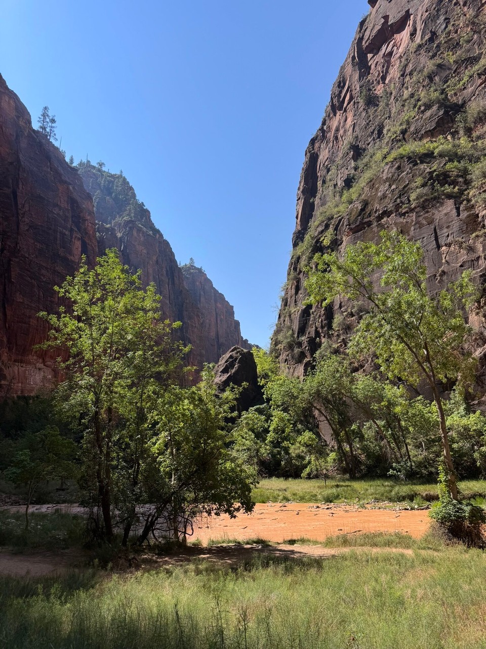Vereinigte Staaten - Springdale - Dehinde ahcho simmer zum Narrows glaufe. Das sind öbbe 20min gsi. Zrugg esch es wieder de glich Wäg gange.☺️
Uf de Trail heds sehr sehr viel Lüth gha.😅