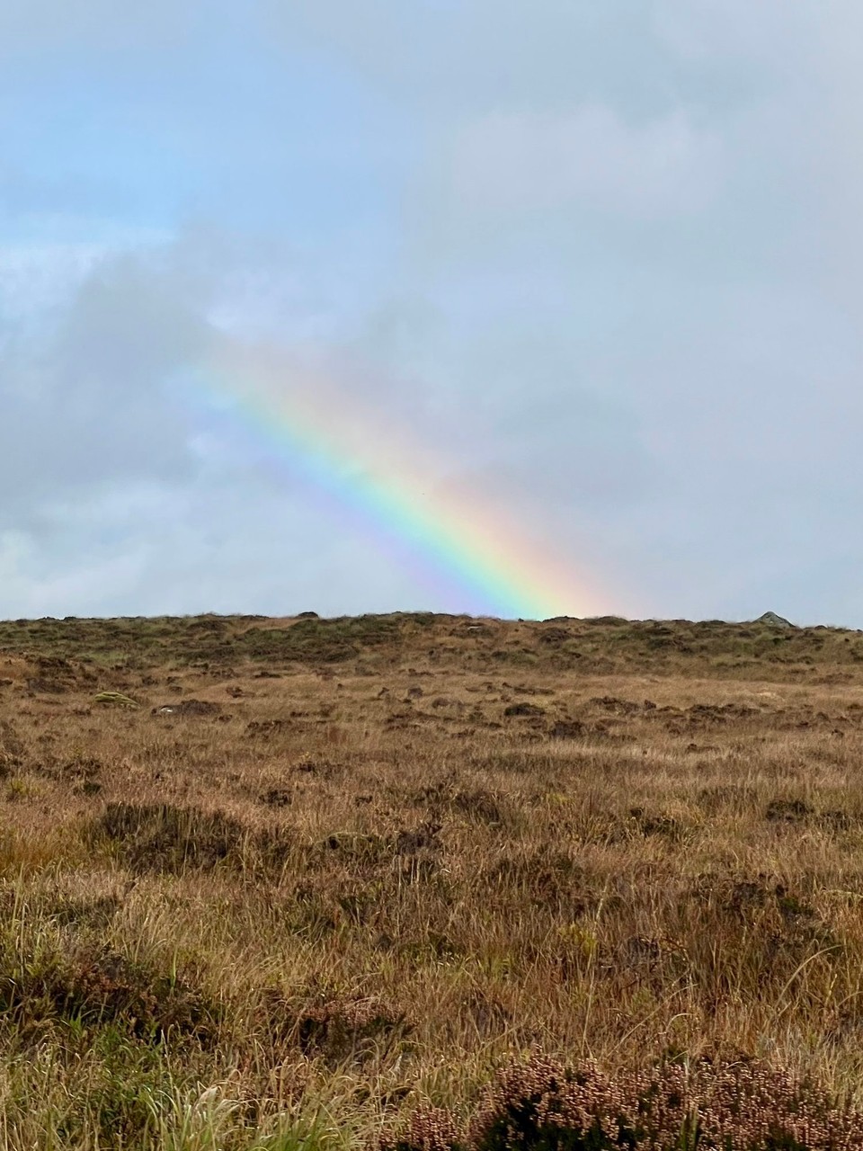 Vereinigtes Königreich - Ballachulish - Regenbogen Nr. 5
