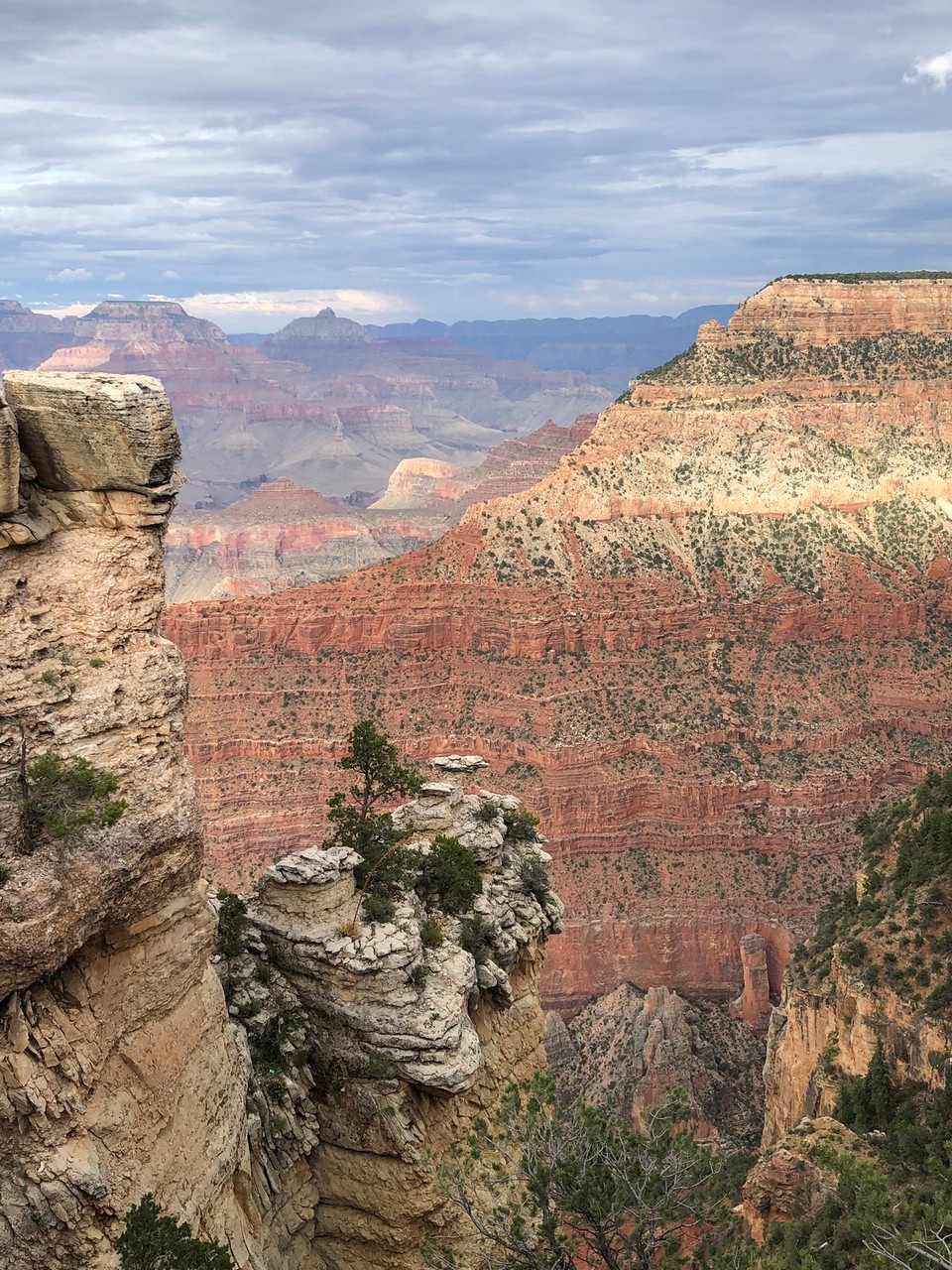 Vereinigte Staaten - Grand Canyon - 