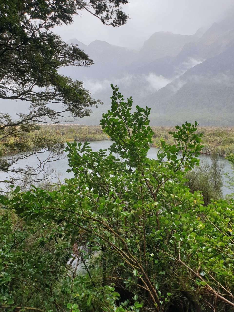 Neuseeland - Te Anau - 
