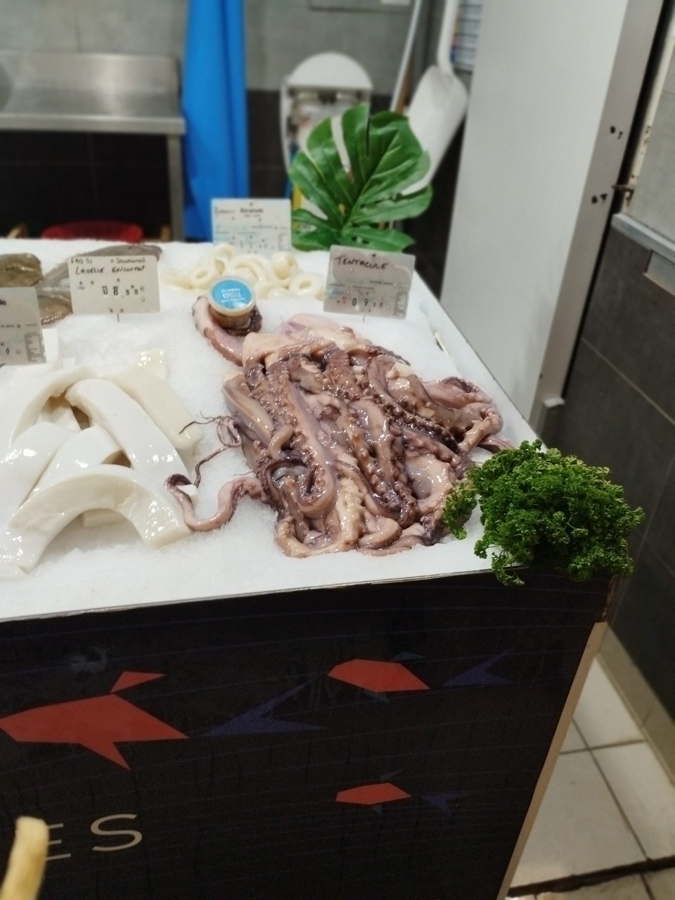 Frankreich - Avignon - ...Fisch in Hülle und Fülle.....