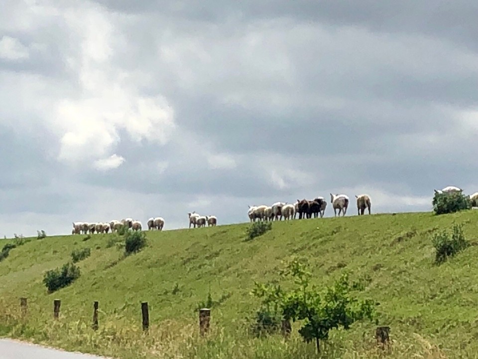 Deutschland - Büsum - 