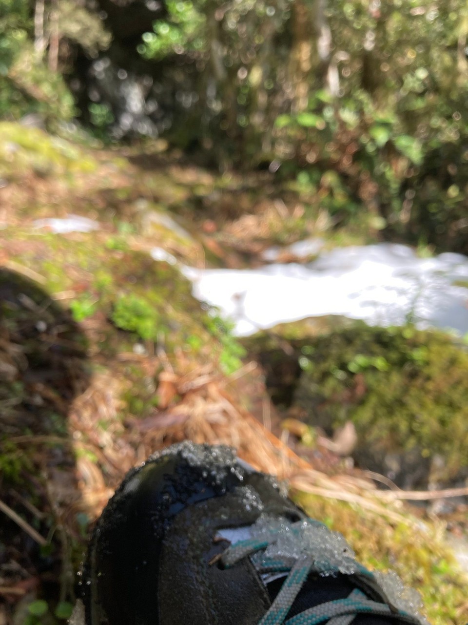 Neuseeland - Whataroa - Schnee am Schuh 🤪