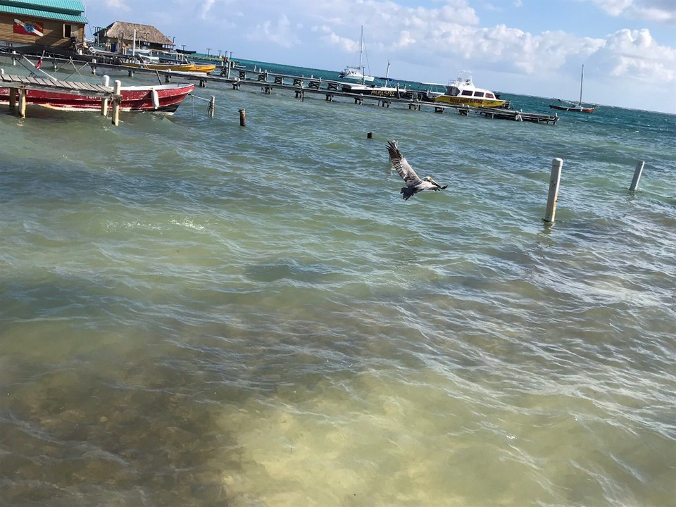 Belize - San Pedro - 