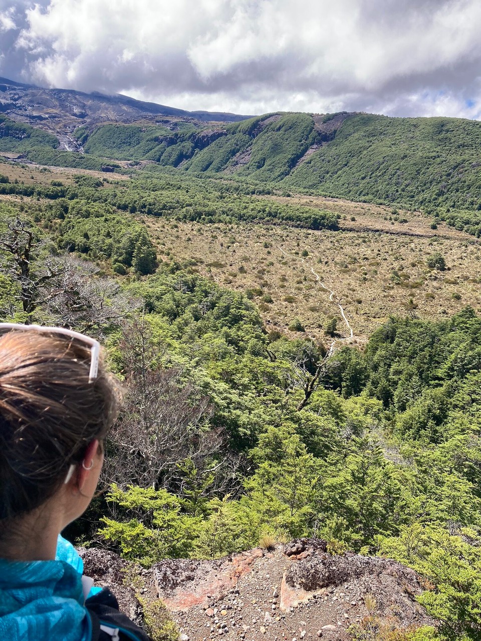 Neuseeland - Tongariro National Park - Und jetzt den ganzen Weg zurück 🤷🏻‍♀️