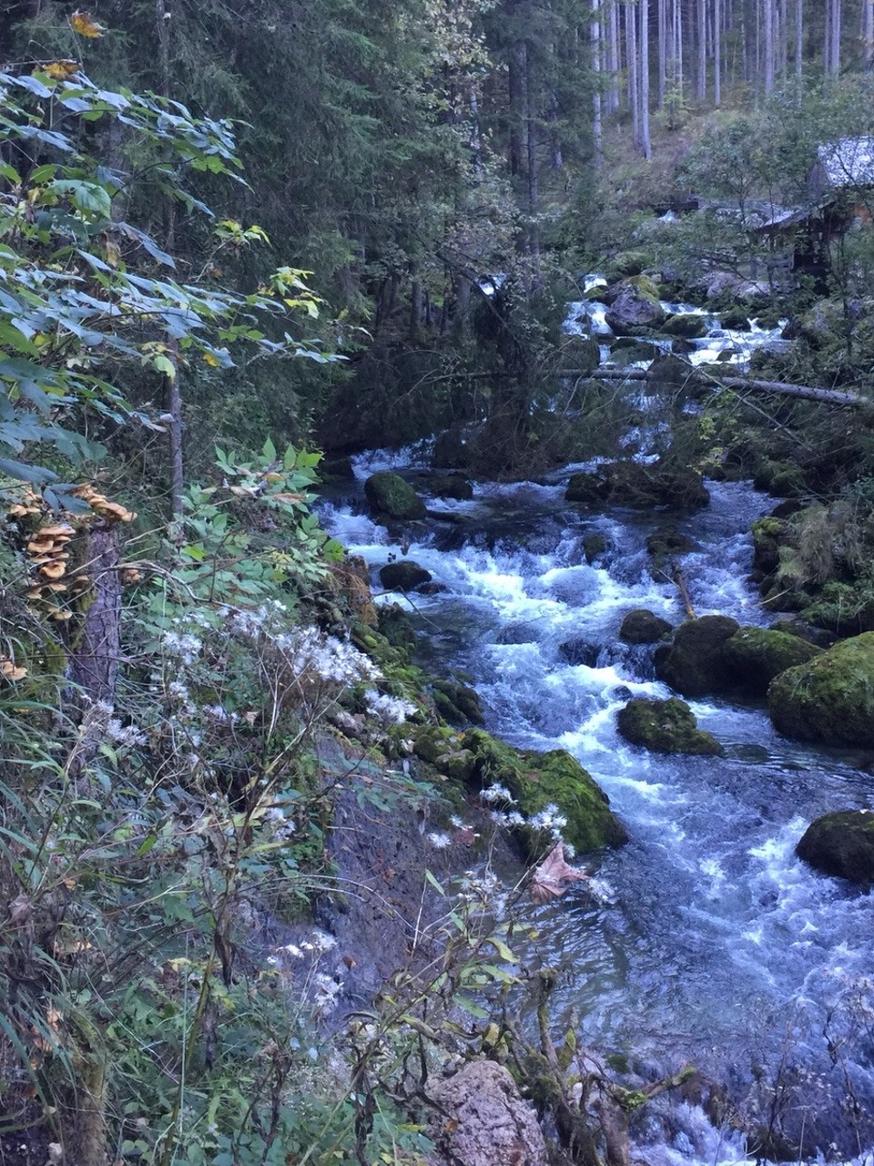 Österreich - Golling an der Salzach - 