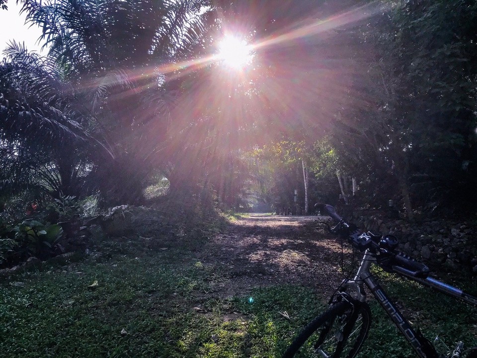 Thailand - Amphoe Chaiya - Just follow the light.
Noch wissen wir nicht, was uns erwartet... 