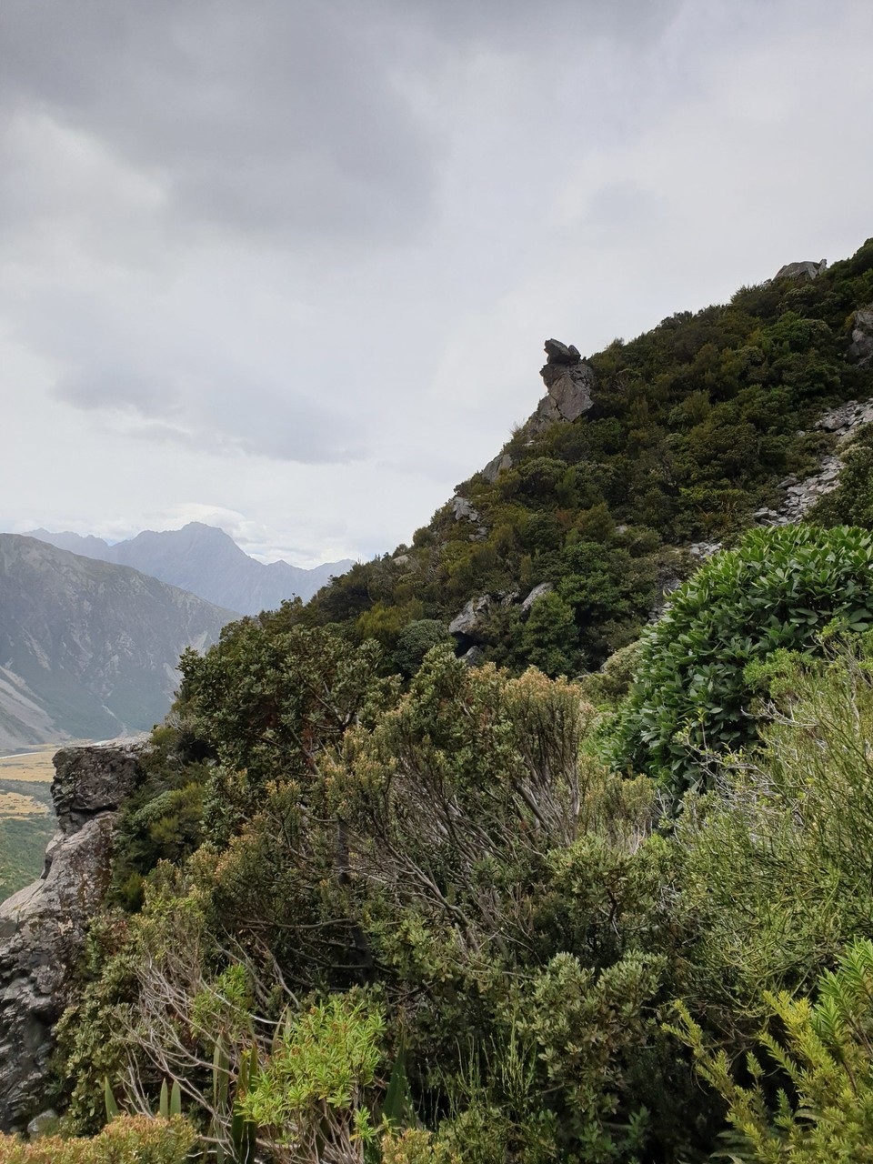Neuseeland - Aoraki - 