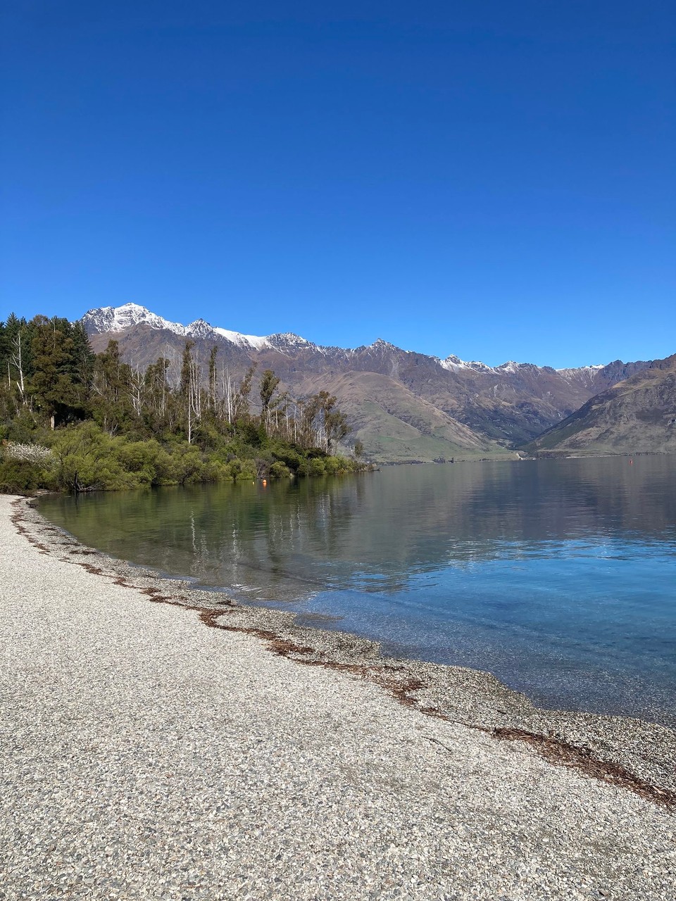 Neuseeland - Queenstown-Wakatipu Ward - 