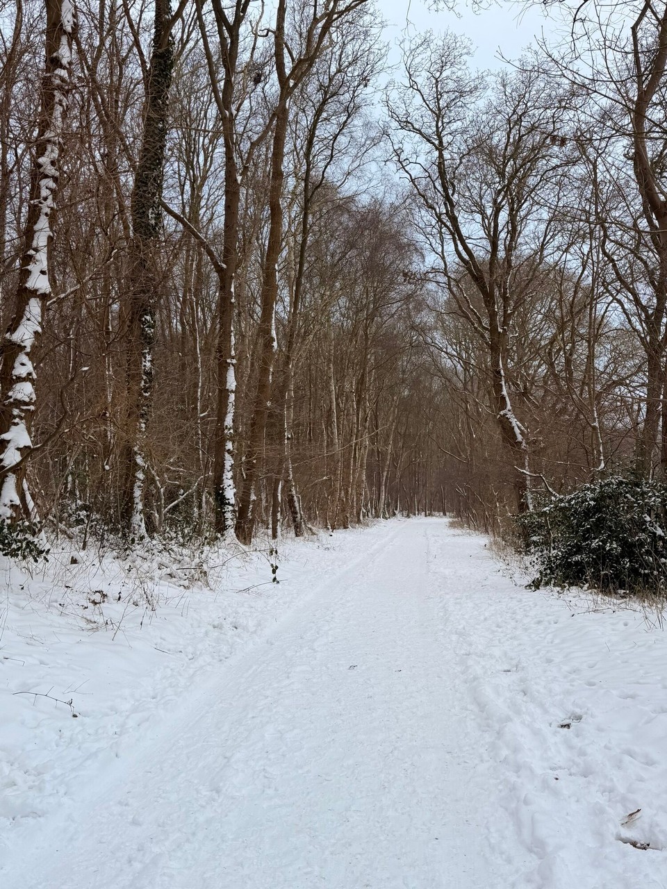 Deutschland - Cuxhaven - 