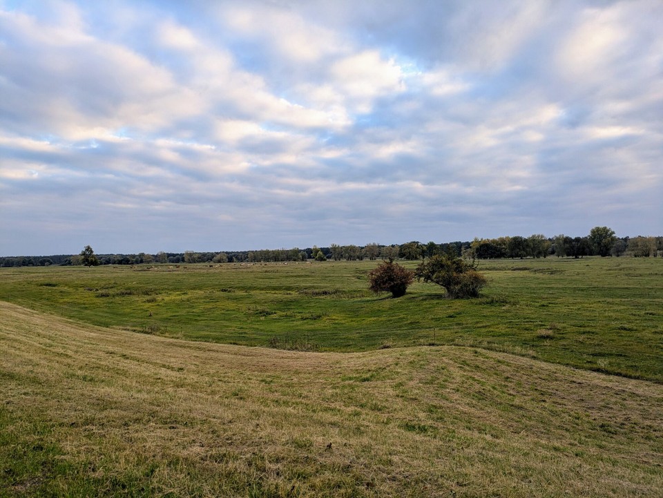 Deutschland - Lenzen (Elbe) - Die letzten Kilometer fuhren wir dann ungeplant doch wieder in die Dunkelheit, kaputt und immer in Sorge, ob die Kette hält. Aber netterweise wurden wir in Lenzen erwartet und man machte uns noch extra ein Essen.