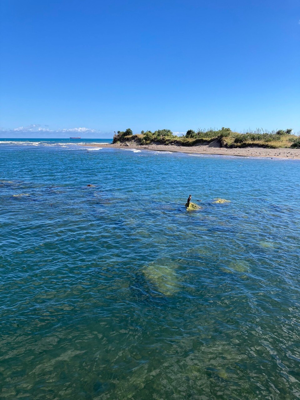 Neuseeland - New Plymouth - 