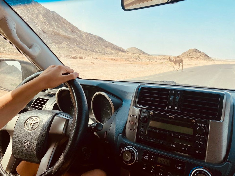 Oman -  - 