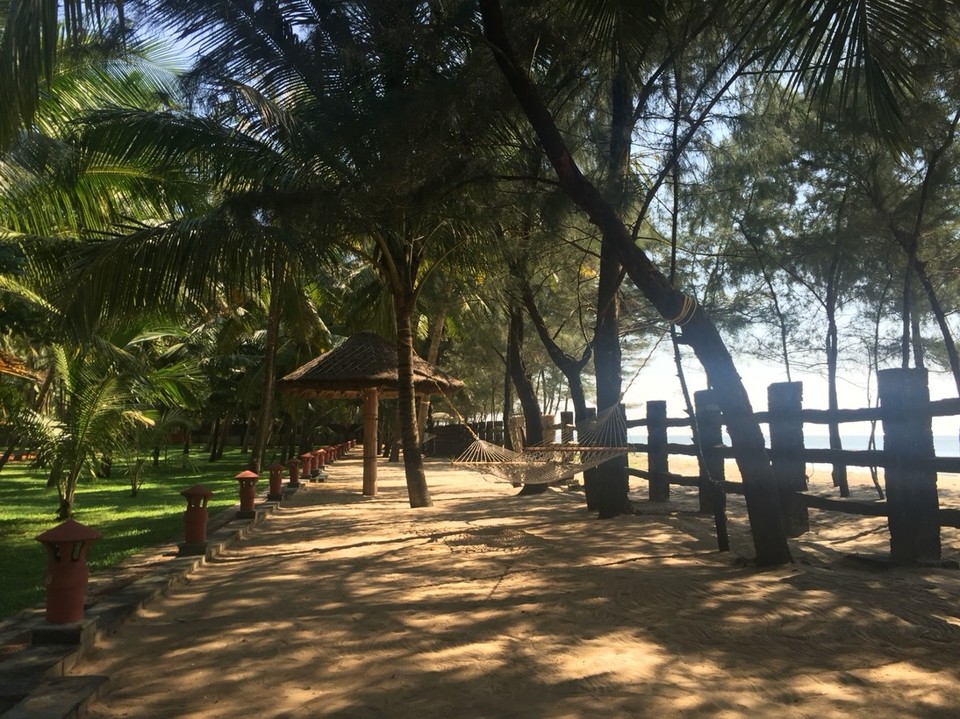 Indien - Guruvayoor-Manattala-Perakam-Edakkazhiyur - 