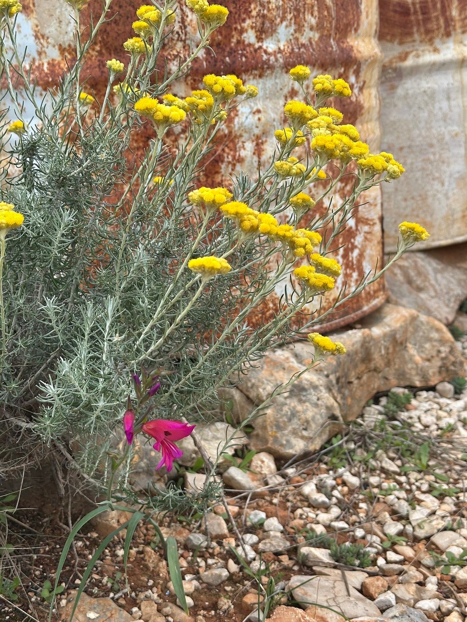 Spanien - Gata de Gorgos - 