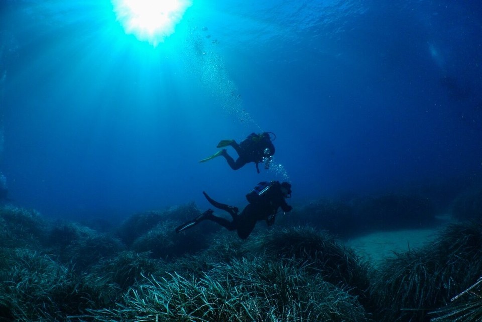 Italien - Marciana - Tolles Bild, geschossen von Heiner

MfG Copyright Heiner Düstehaus