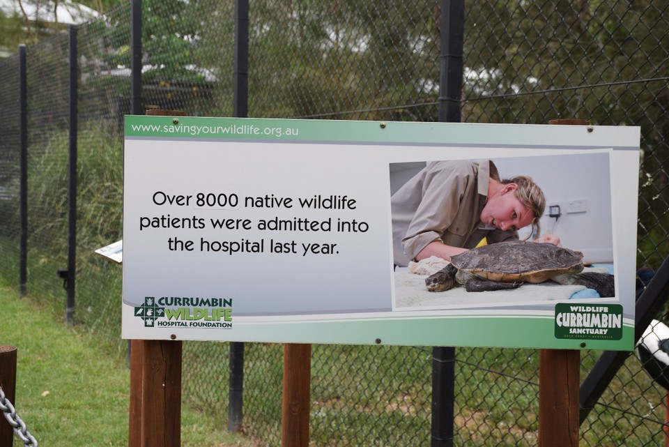 Australien - Currumbin - Im Wildpark gibt es auch ein Krankenhaus