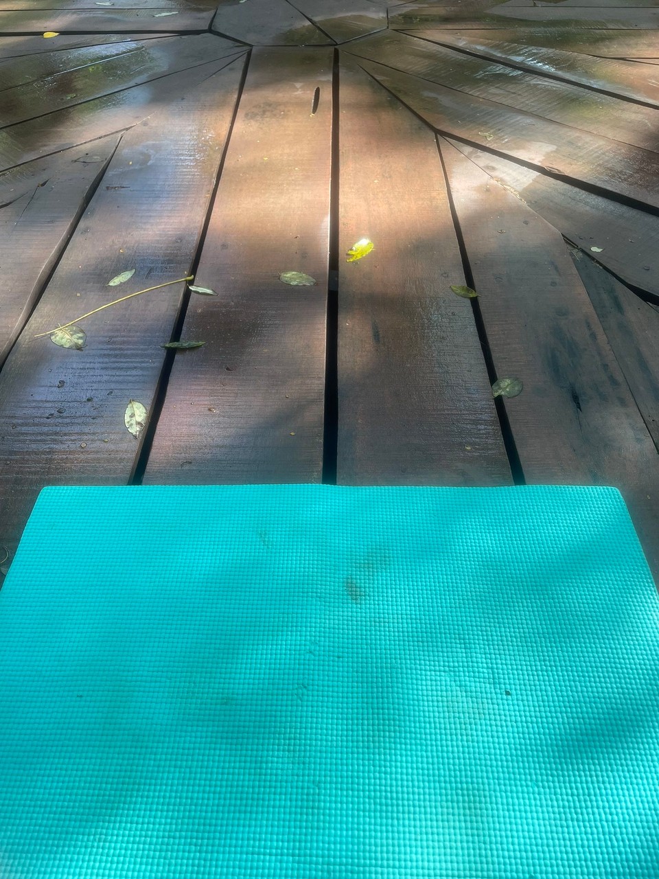Costa Rica - Tamarindo - … und Yoga 🧘‍♂️ in den Tag starten 🌞 
