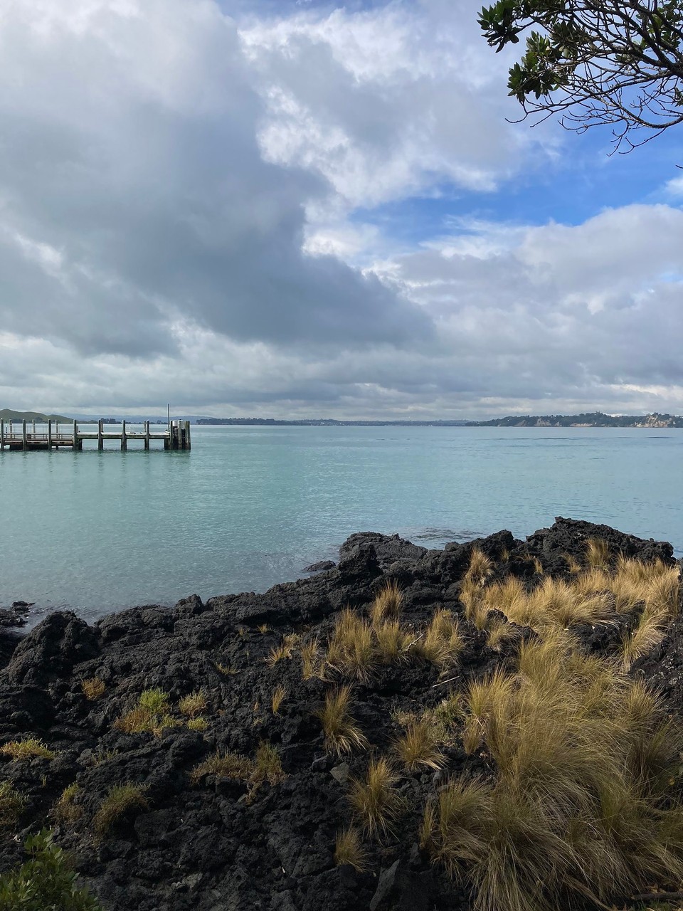 Neuseeland - Waitemata and Gulf Ward - 