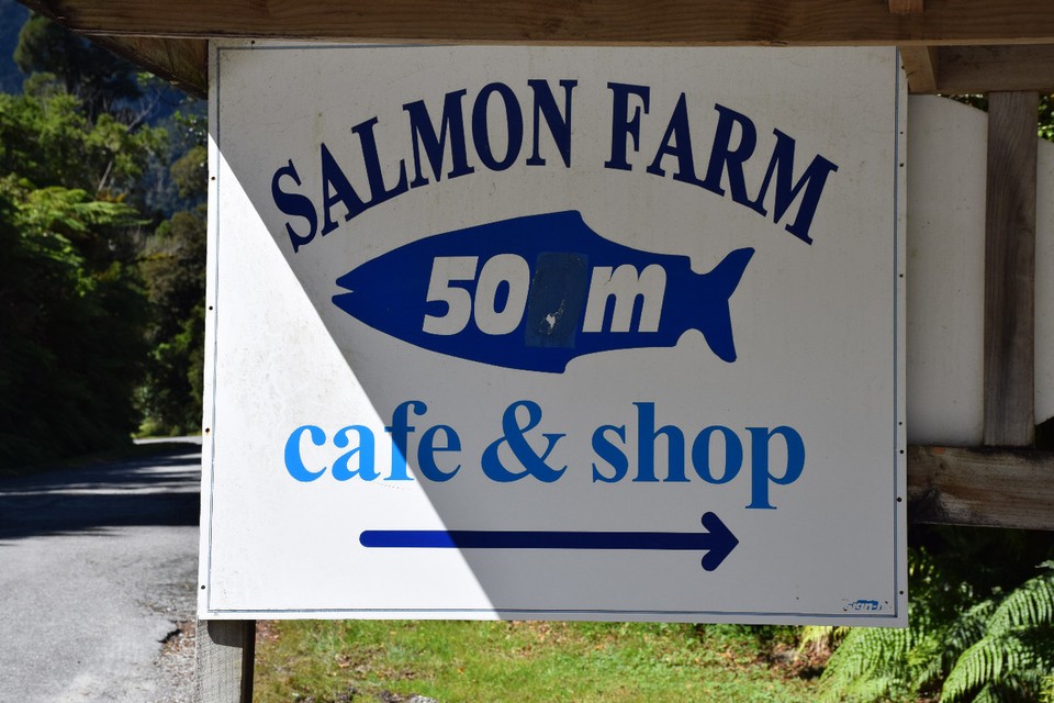 Neuseeland - Lake Matheson - Auf dem Weg nach Wanaka kamen wir an einer Lachsfarm vorbei