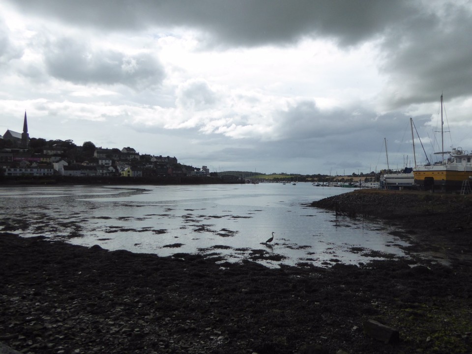 Ireland - Crosshaven - Part of the harbour dries at low tide.  A perfect place for a heron to look for food.