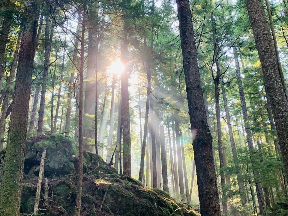 Kanada - Mount Waddington A - 