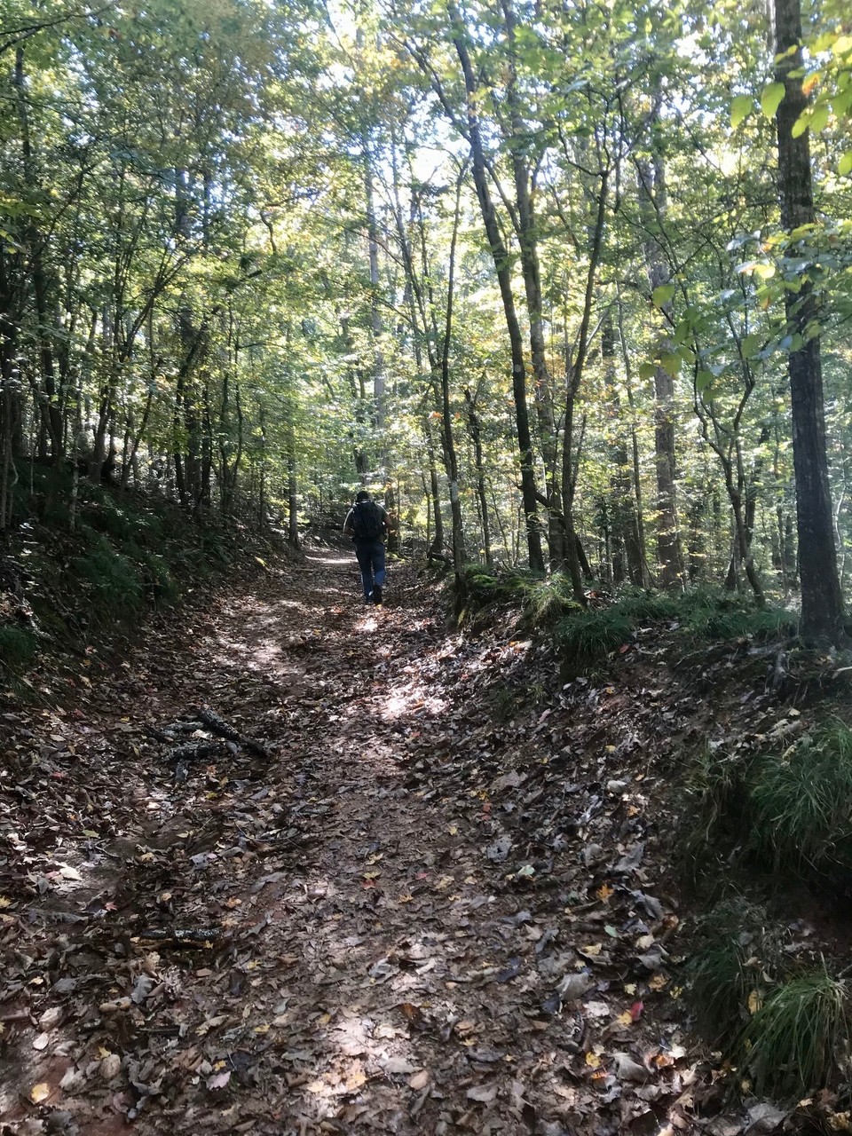 United States - Lithia Springs - 
