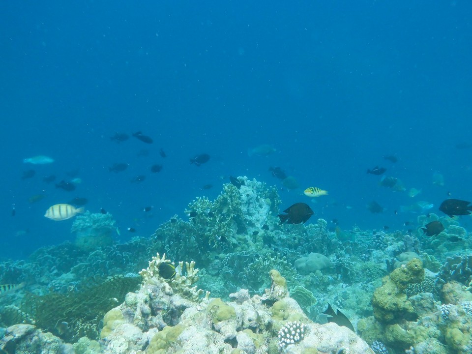 Indonesia - Kabupaten Wakatobi - 