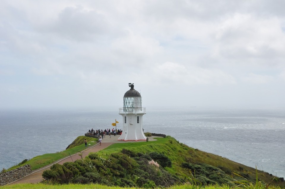 Neuseeland - Cape Reinga - 