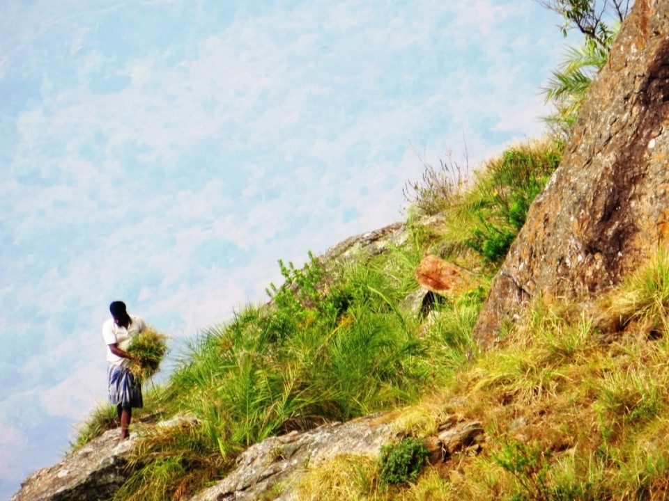 Indien - Coonoor - 
