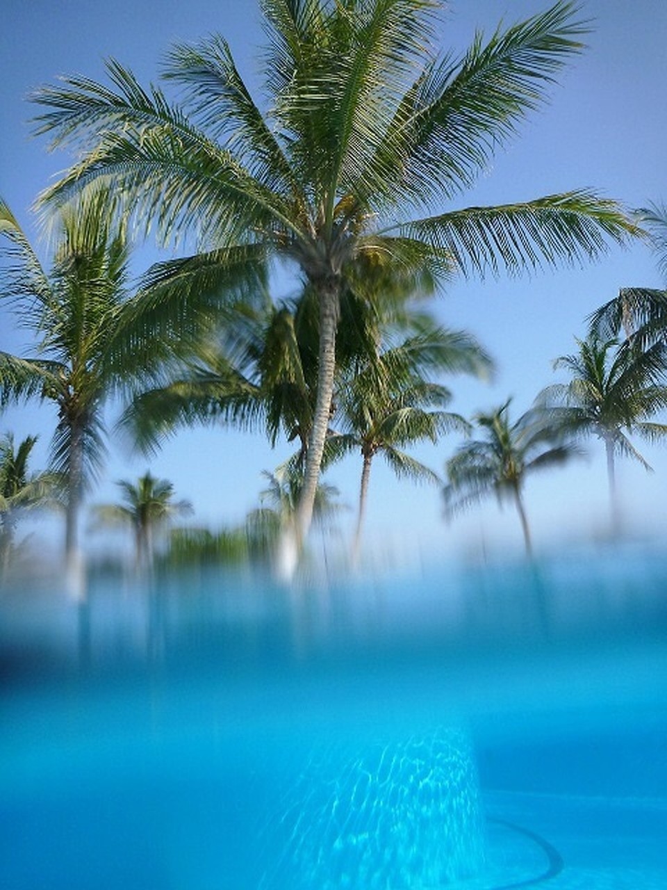  - Oman, Salalah - Unter Wasser fotografiert