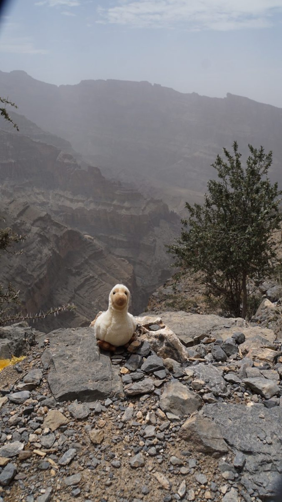 Oman -  - Doretta mag das