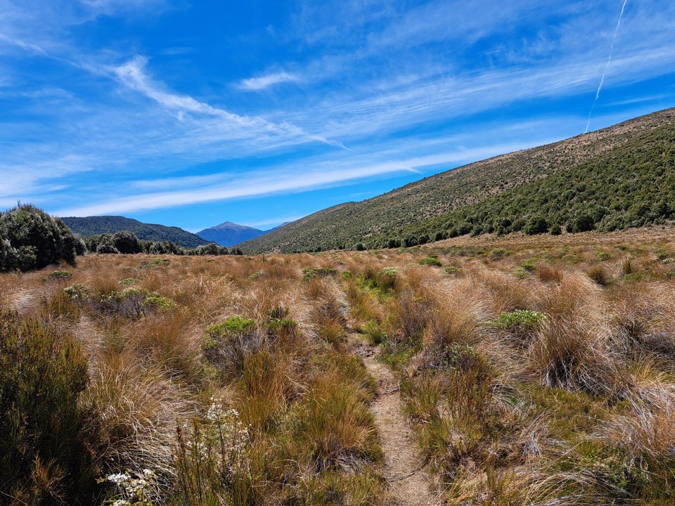 Neuseeland - Saint Arnaud - 