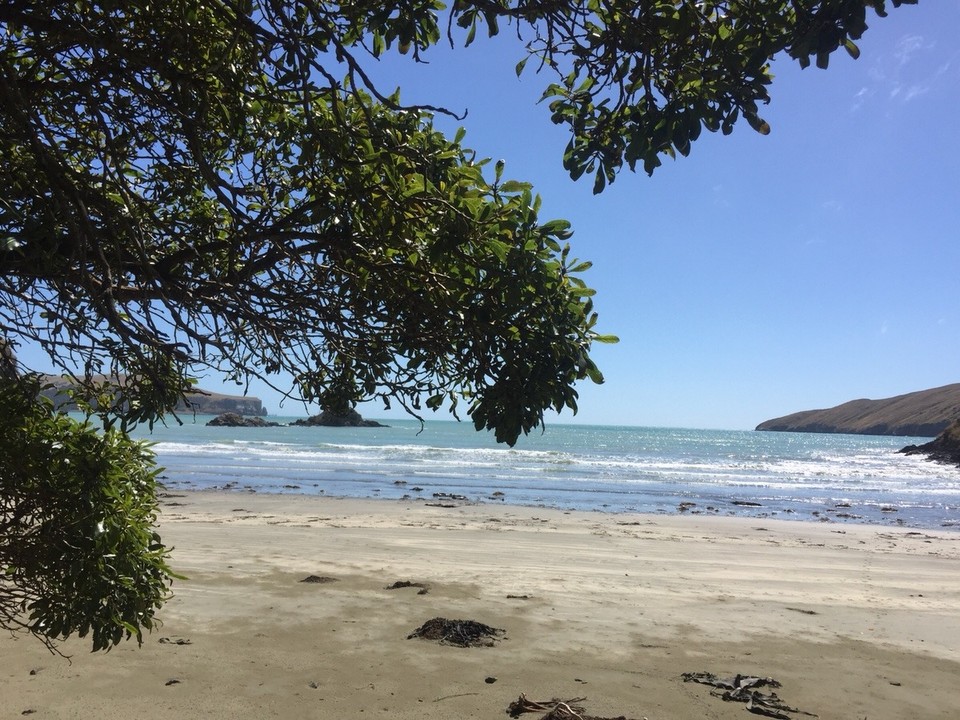 Neuseeland - Akaroa - Little Okains Bay