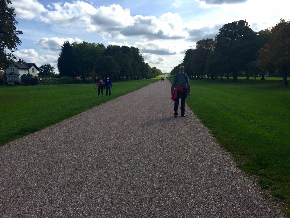 United Kingdom - Windsor - The Long Walk, Windsor Great Park. 