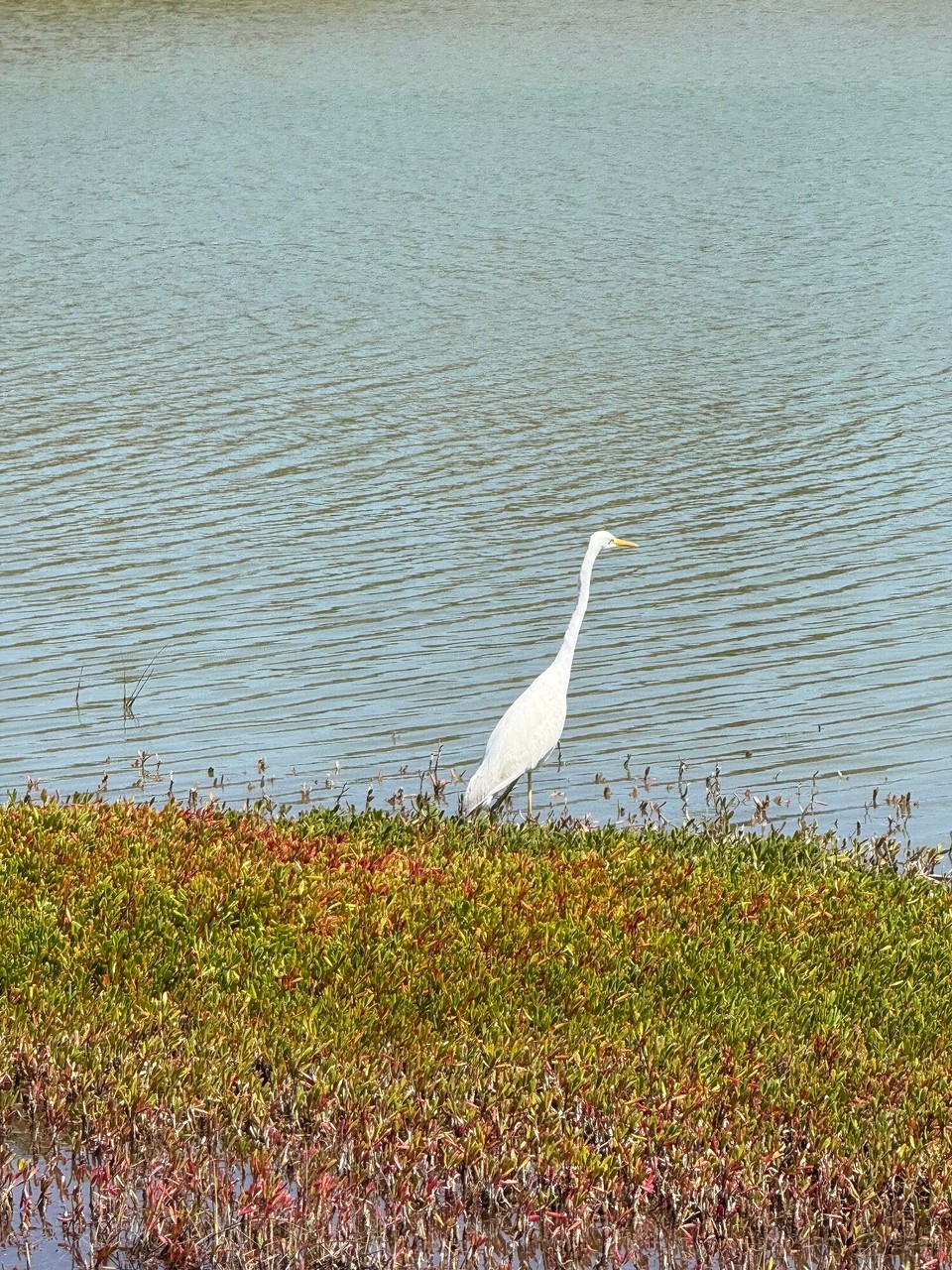 Spanien - Las Palmas de Gran Canaria - 