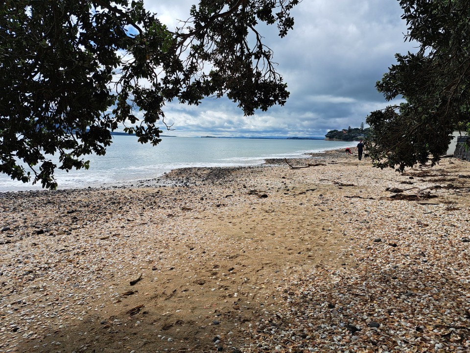 Neuseeland - Auckland - Dem Strand entlang 