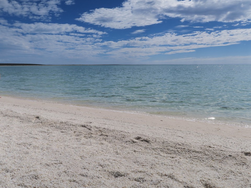 Australia - Shark Bay - Shell beach, plage de coquillages