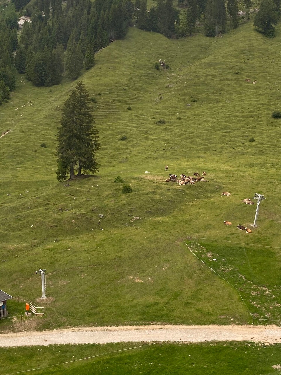 Deutschland - Oberstdorf - 