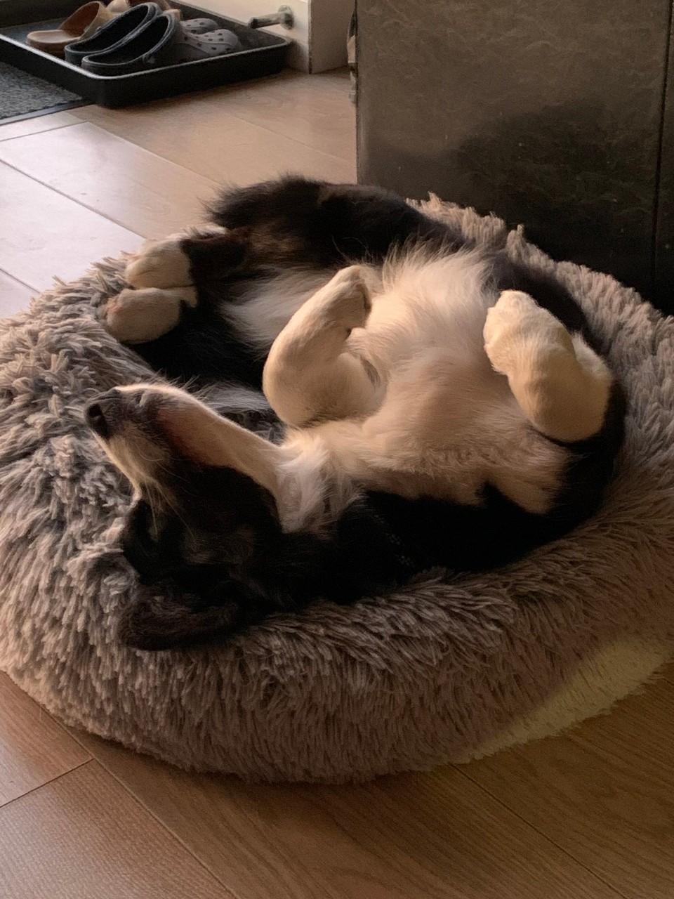 Vereinigtes Königreich - Wandylaw - Nach emene läääääääne Tag… 😴
