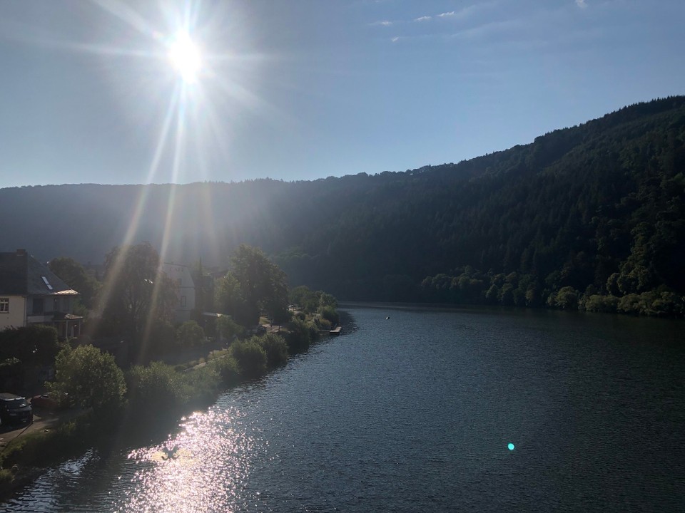 Deutschland - Reil - Sonnenaufgang