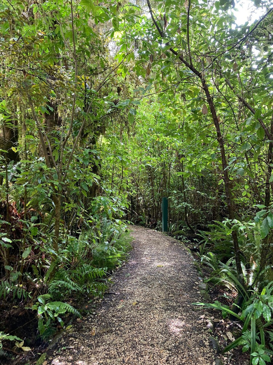 Neuseeland - Kahurangi National Park - 