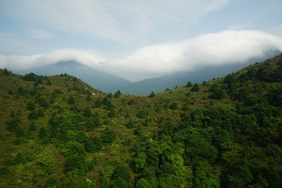 Hongkong - Hongkong - 