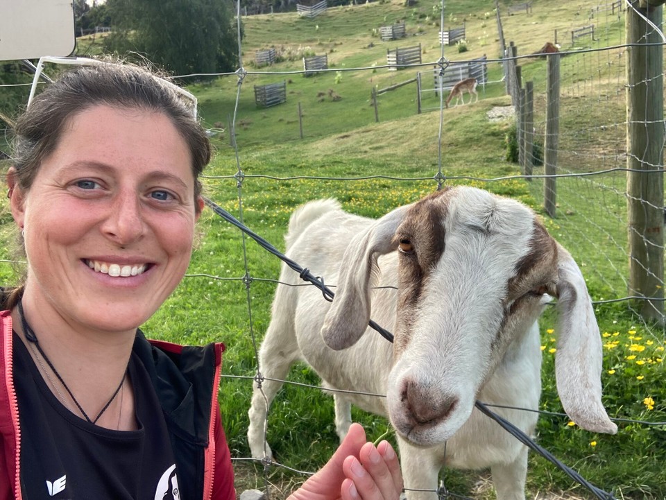 Neuseeland - Te Anau - Frisst mir sogar aus der Hand 😌
