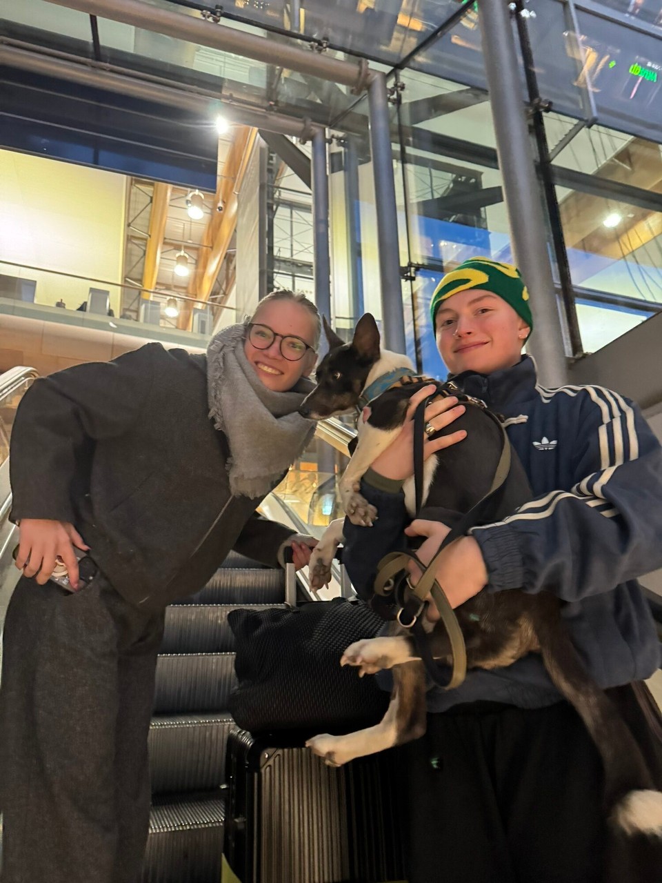 Norwegen - Gardermoen - Da freut sich jemand ziemlich doll auf zu Hause. 