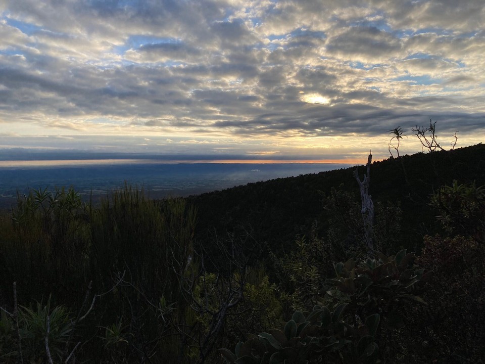 Neuseeland - Egmont National Park - 