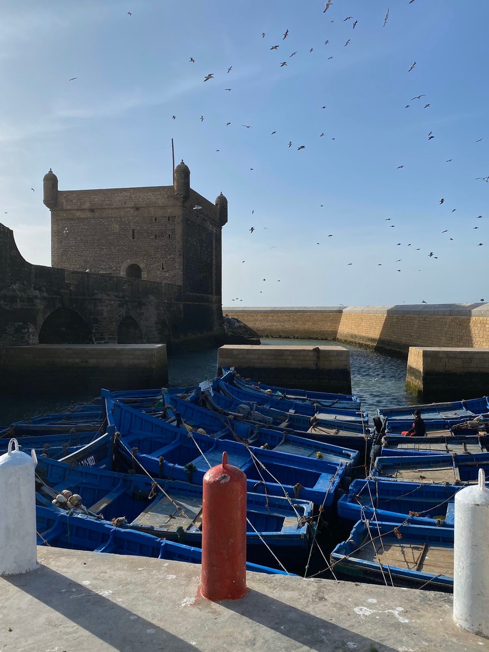 Marokko - Essaouira - 