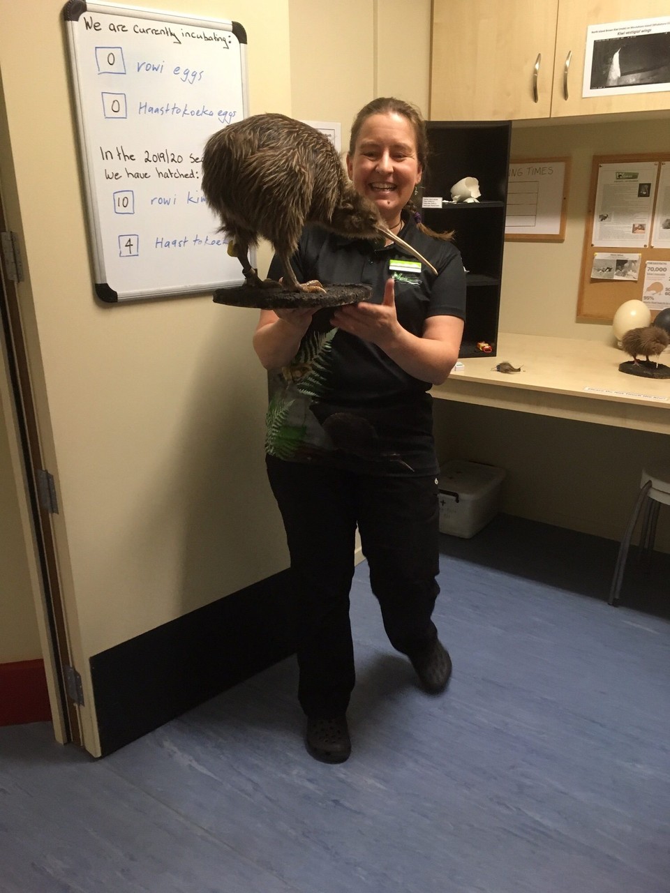 Neuseeland - Franz Josef Glacier - Wir lernen eine Menge über Kiwis.
Dieser Kiwi war ein 14 jähriges Weibchen.
Die Nasenlöcher befinden sich ganz vorne beim Schnabel. Der Kiwi ist nachtaktiv und kann nicht fliegen. Er hat nur sehr kleine Flügel.