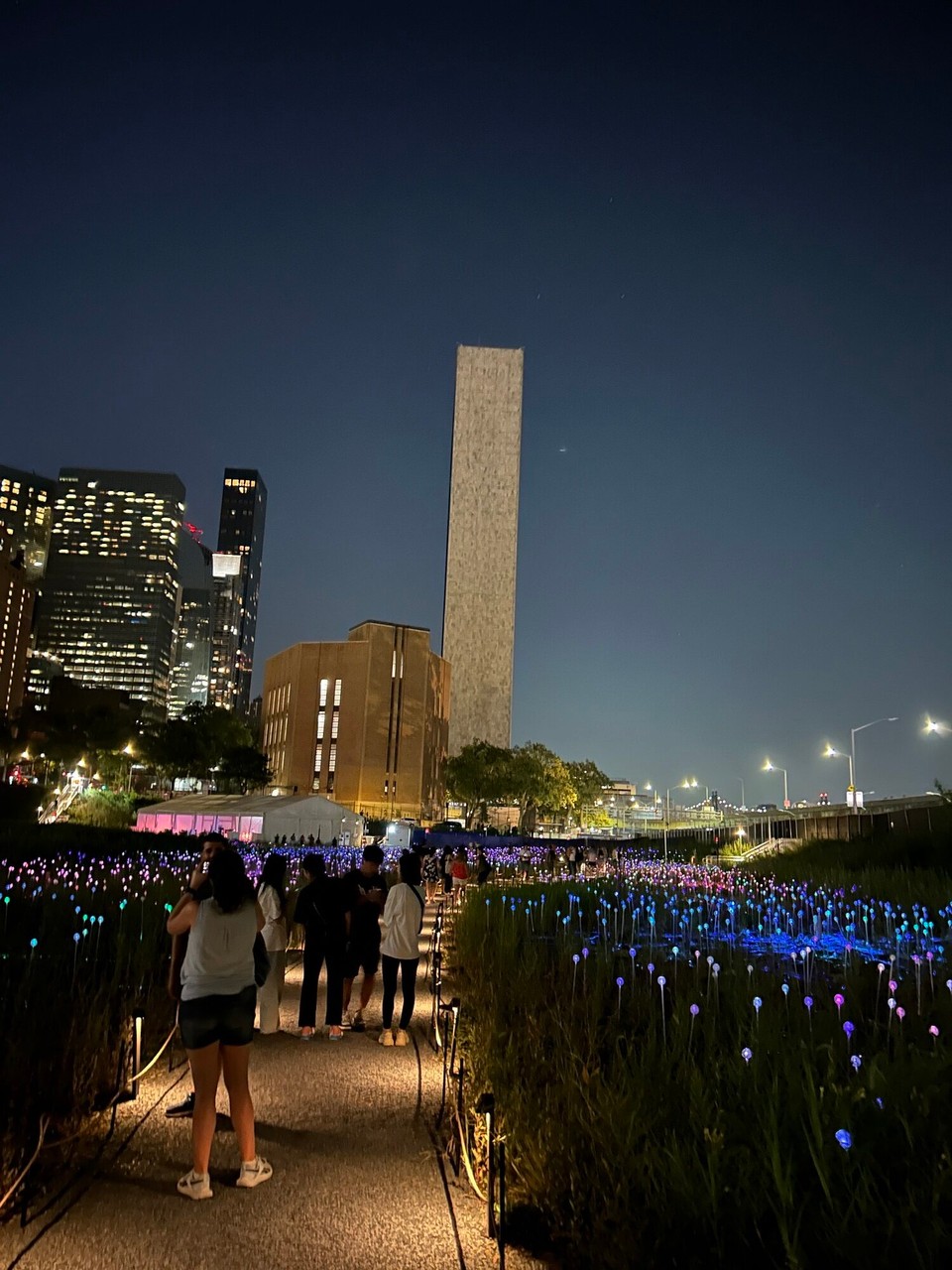 Vereinigte Staaten - New York - Field of Light 